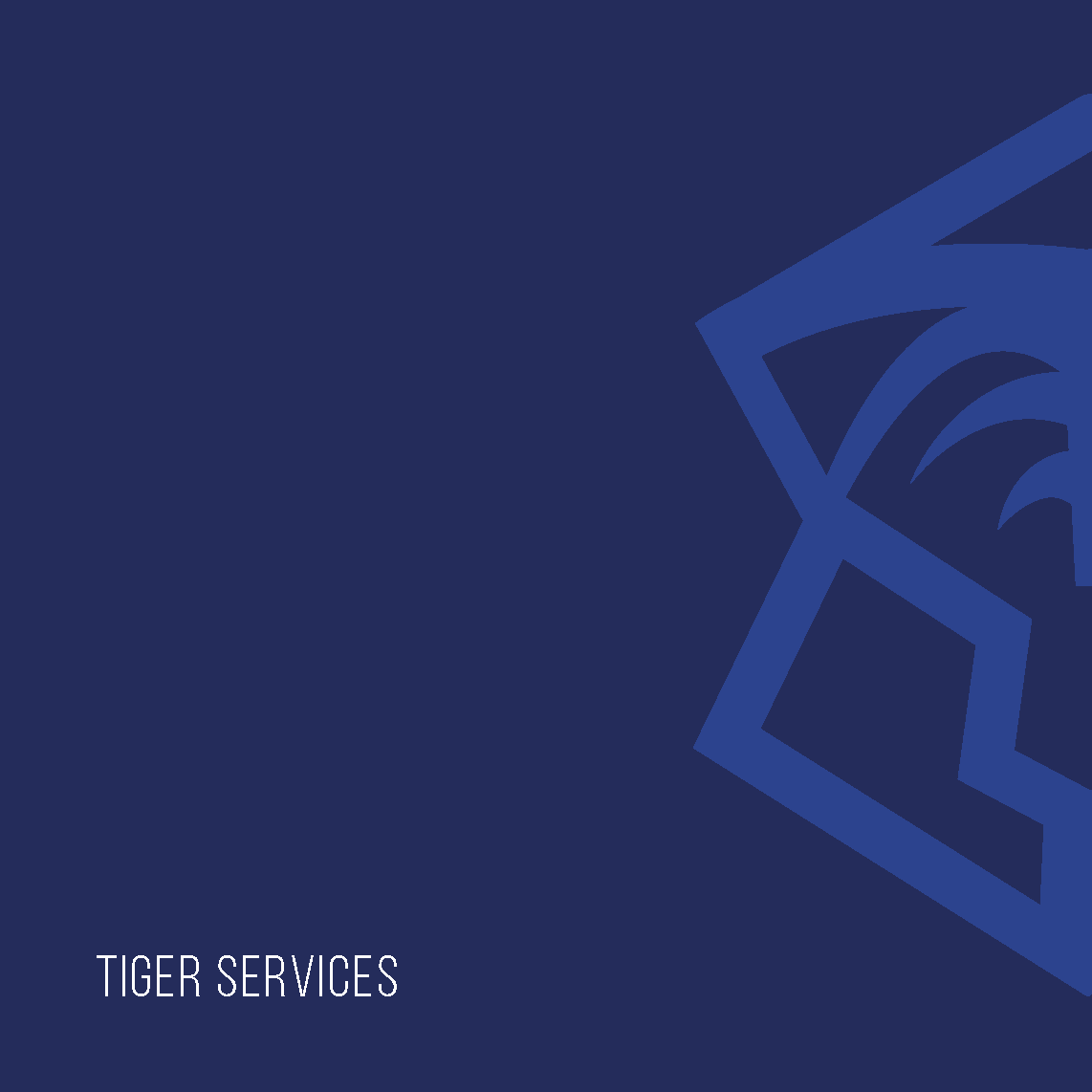 Tiger_Page_12